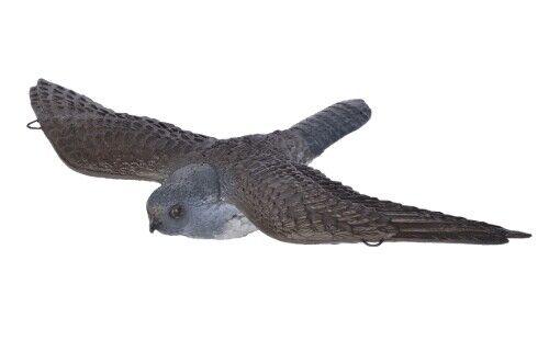 3D-Ziel Fliegender Falke farbig - kb-bogensport