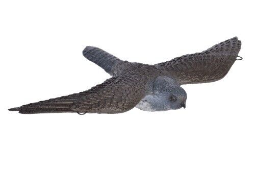 3D-Ziel Fliegender Falke farbig - kb-bogensport