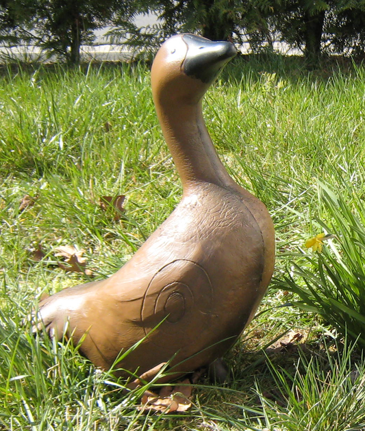 3D-Ziel Wildgans Gans Gustav in braun IFFA4 - kb-bogensport