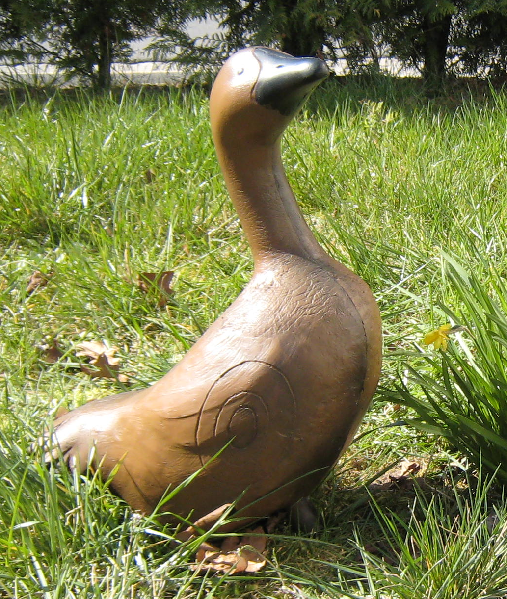 3D-Ziel Wildgans Gans Gustav in braun IFFA4 - kb-bogensport