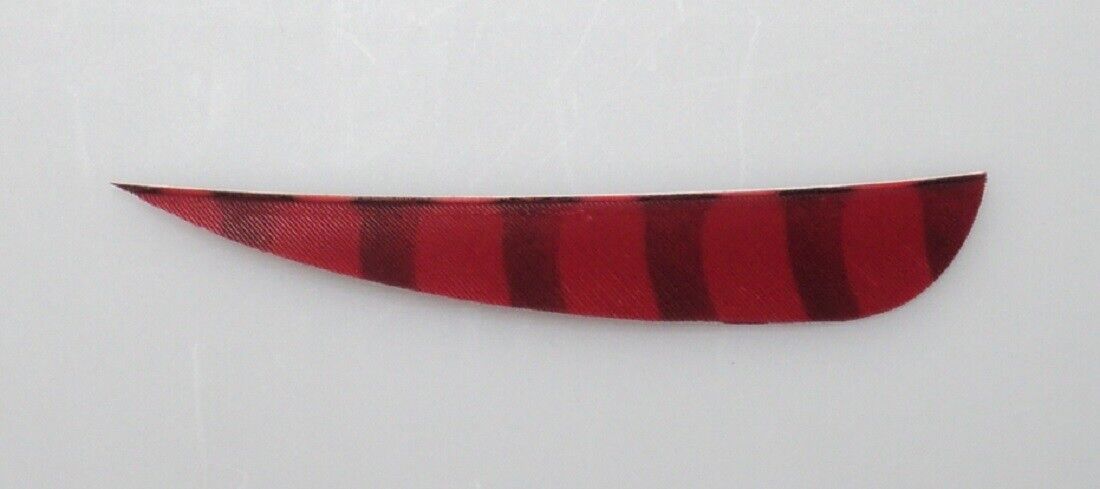 Bearpaw Naturfedern Parabol Barred 4" 12er Pack - kb-bogensport